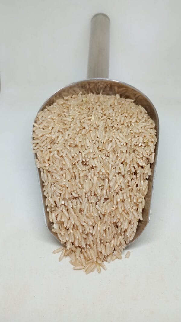 ARROZ INTEGRAL LARGO FINO