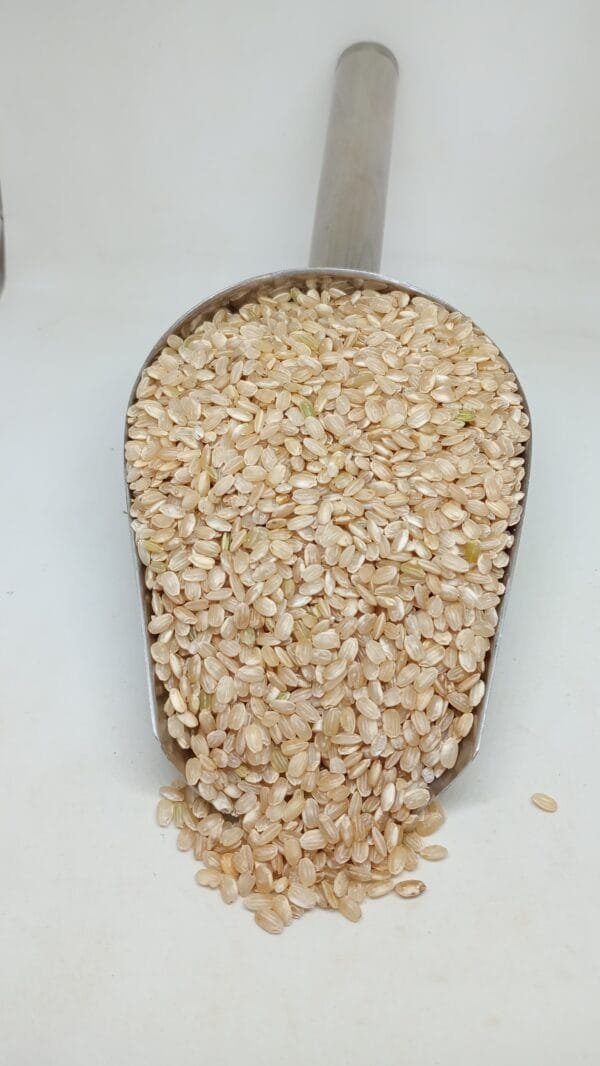 ARROZ YAMANI