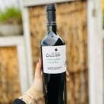 VINO CABERNET SUAVIGNON SIN SULFITOS FAMILIA CECCHIN