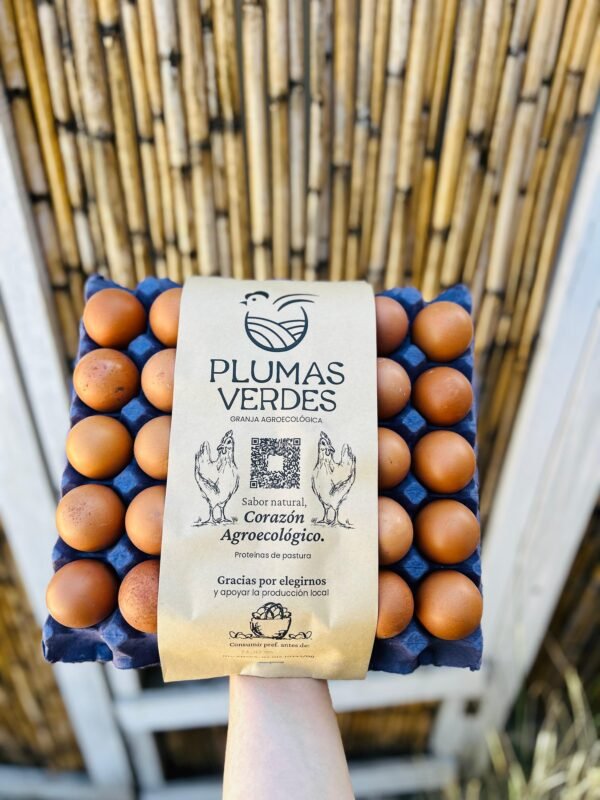 MAPLE DE HUEVOS