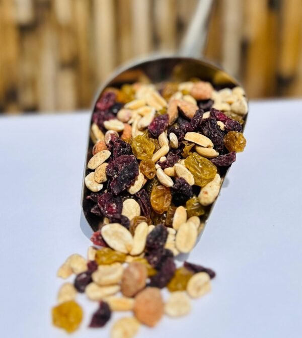 MIX FRUTOS SECOS CON ARANDANOS