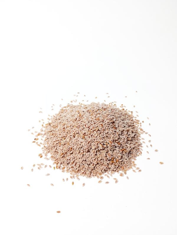SEMILLAS DE PSYLLIUM