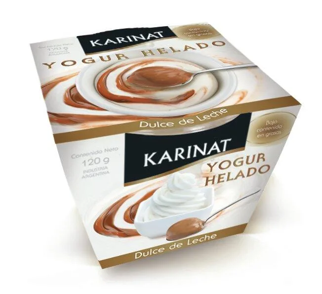 YOGUR HELADO DE DULCE DE LECHE 120 G KARINAT