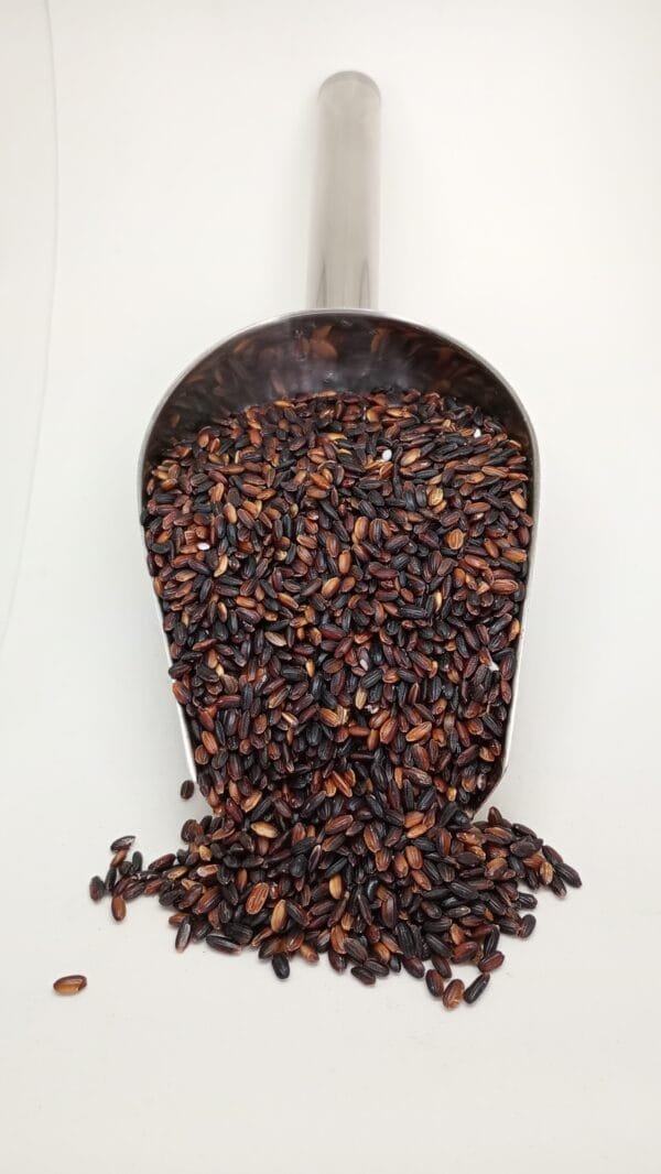 ARROZ NEGRO