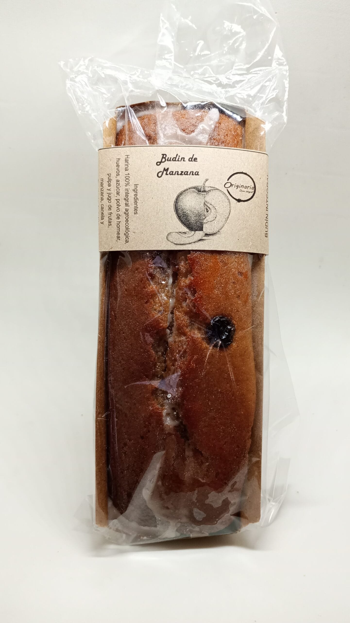 BUDIN INTEGRAL ORIGINARIA DE FRUTAS