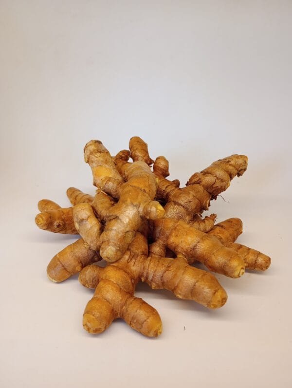 CURCUMA RAIZ