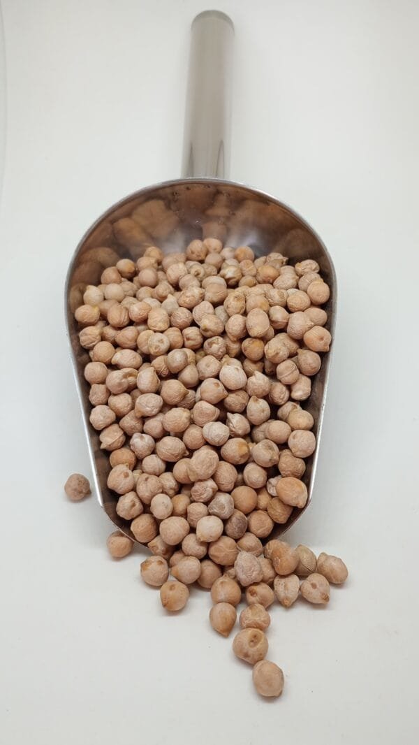 GARBANZO