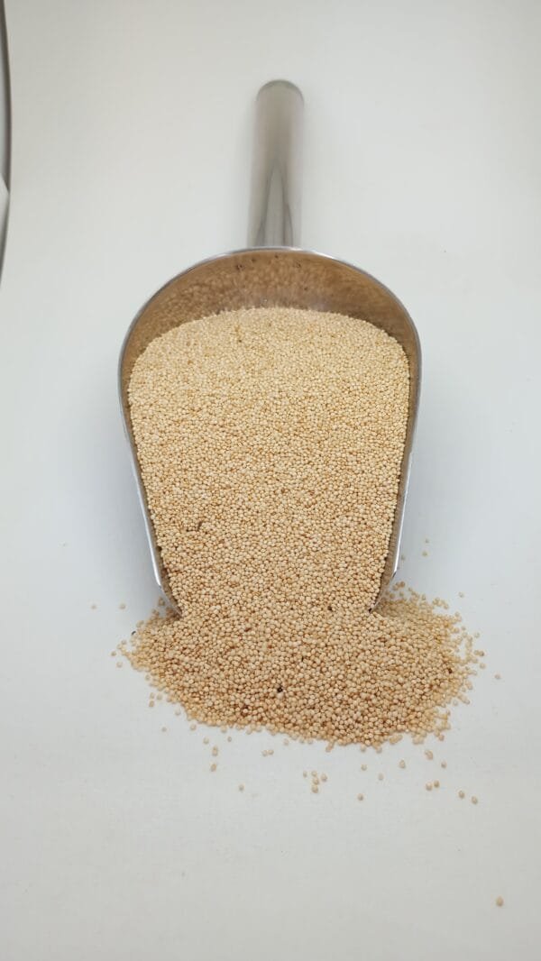 SEMILLA DE QUINOA BLANCA