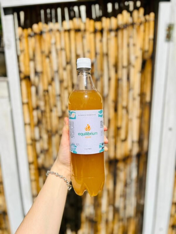 KEFIR EQUILIBRIUM 1 LITRO