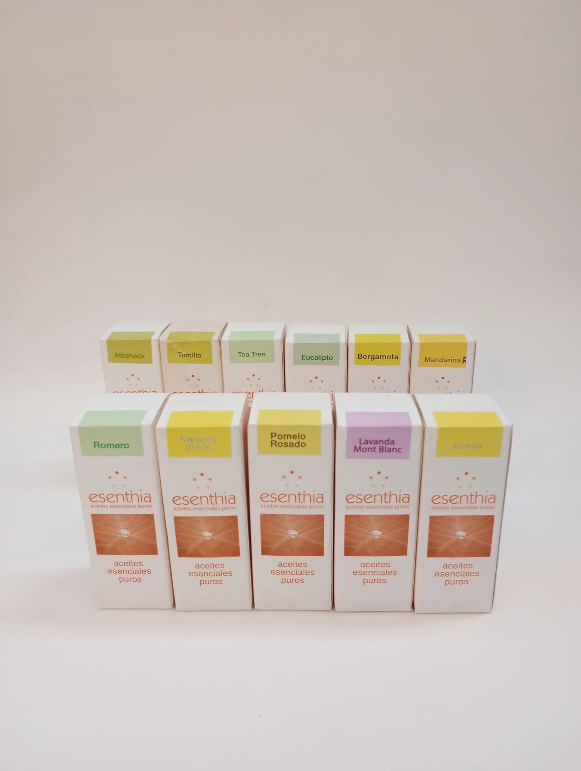 ACEITES ESENCIALES PUROS ESENTHIA JENGIBRE 10 ML
