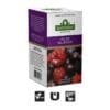 TE EN SAQUITOS SAINT GOTTARD INFUSIONES FRUTALES FRUTOS DEL BOSQUE