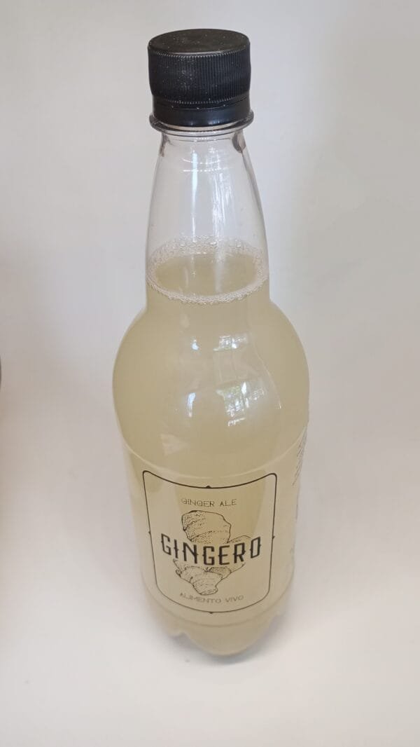 GINGERO ALIMENTO VIVO 1LTS