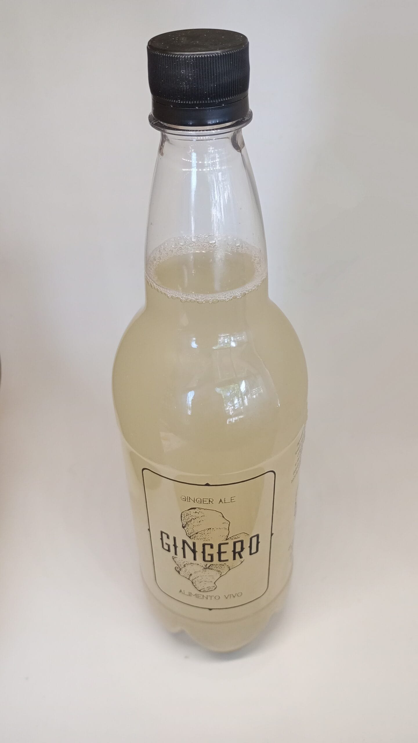GINGERO ALIMENTO VIVO 1LTS