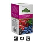 TE EN SAQUITOS SAINT GOTTARD INFUSIONES FRUTALES GROSELLA MORA Y ARANDANOS