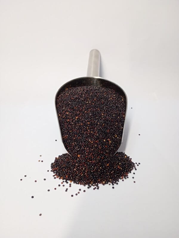 SEMILLAS DE QUINOA NEGRA