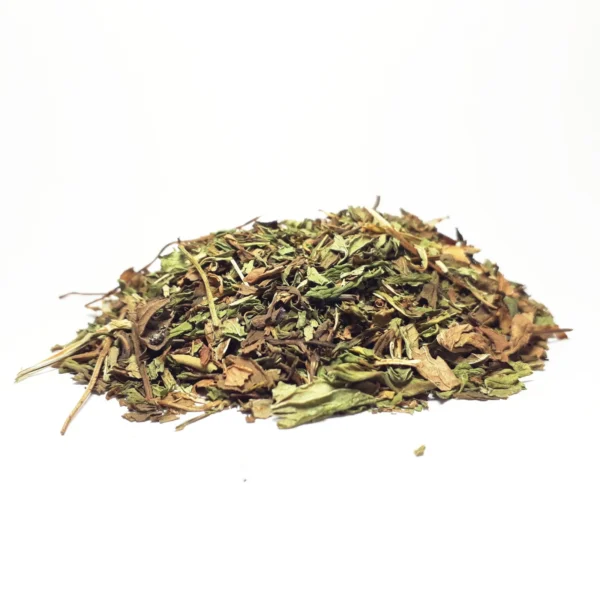 MENTA