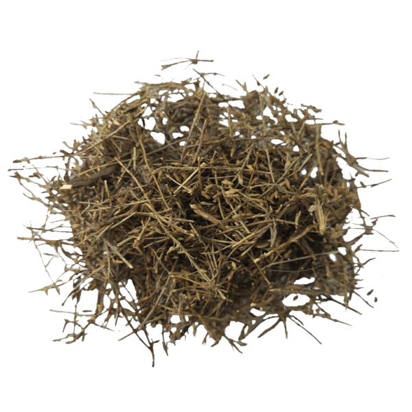 TOMILLO PARA MATE (YERBA DEL PAJARO)