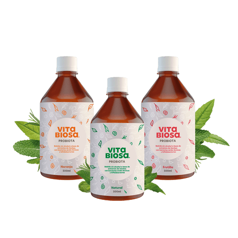 BEBIDA PREBIOTICA VITA BIOSA X 500 ML