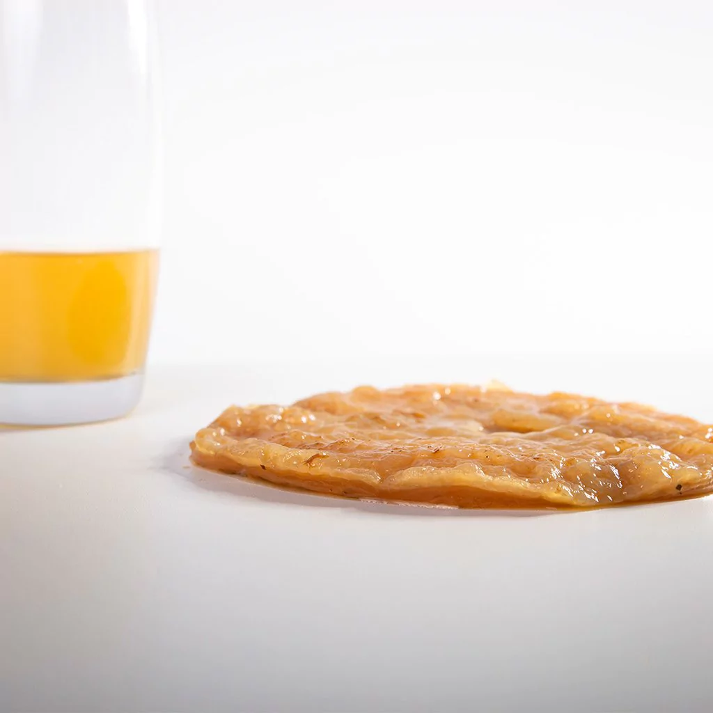 MADRE DE KOMBUCHA PRAMA