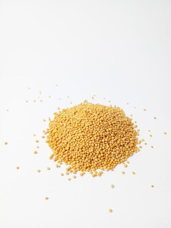 MOSTAZA EN GRANO