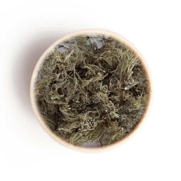 YERBA DE LA PIEDRA
