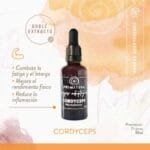 CORDYCEPS PRIMITIVA 60 CAPSULAS DE 200 MG
