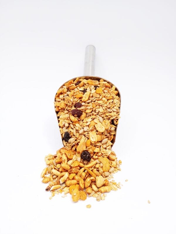 GRANOLA SATVIKA CROCANTE