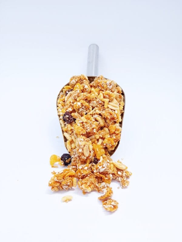 GRANOLA MUSCLE PRO ENERGIZANTE