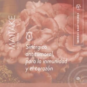 DOBLE EXTRACTO MAITAKE ADAPTOGENOS PRIMITIVA X 50 ML
