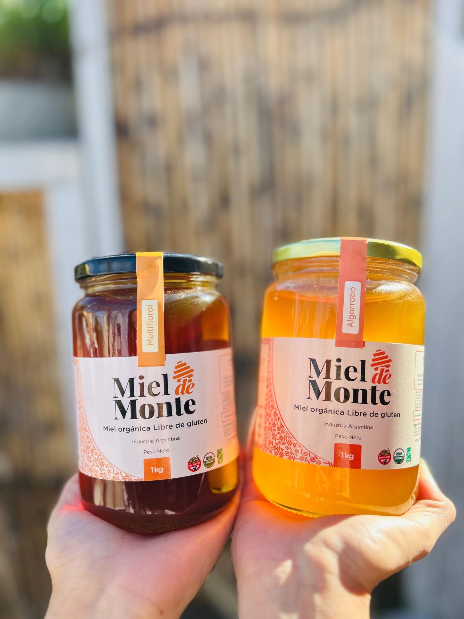 MIEL DE MONTE 1 KG GARABATO