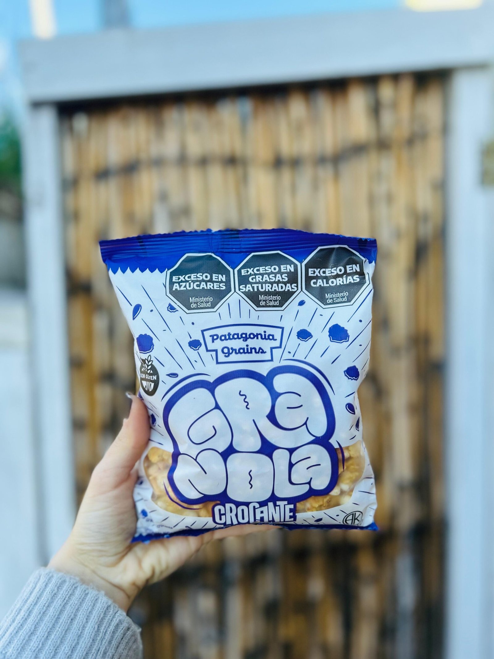 GRANOLA CON CROCANTE X 250 G SIN TACC PATAGONIA