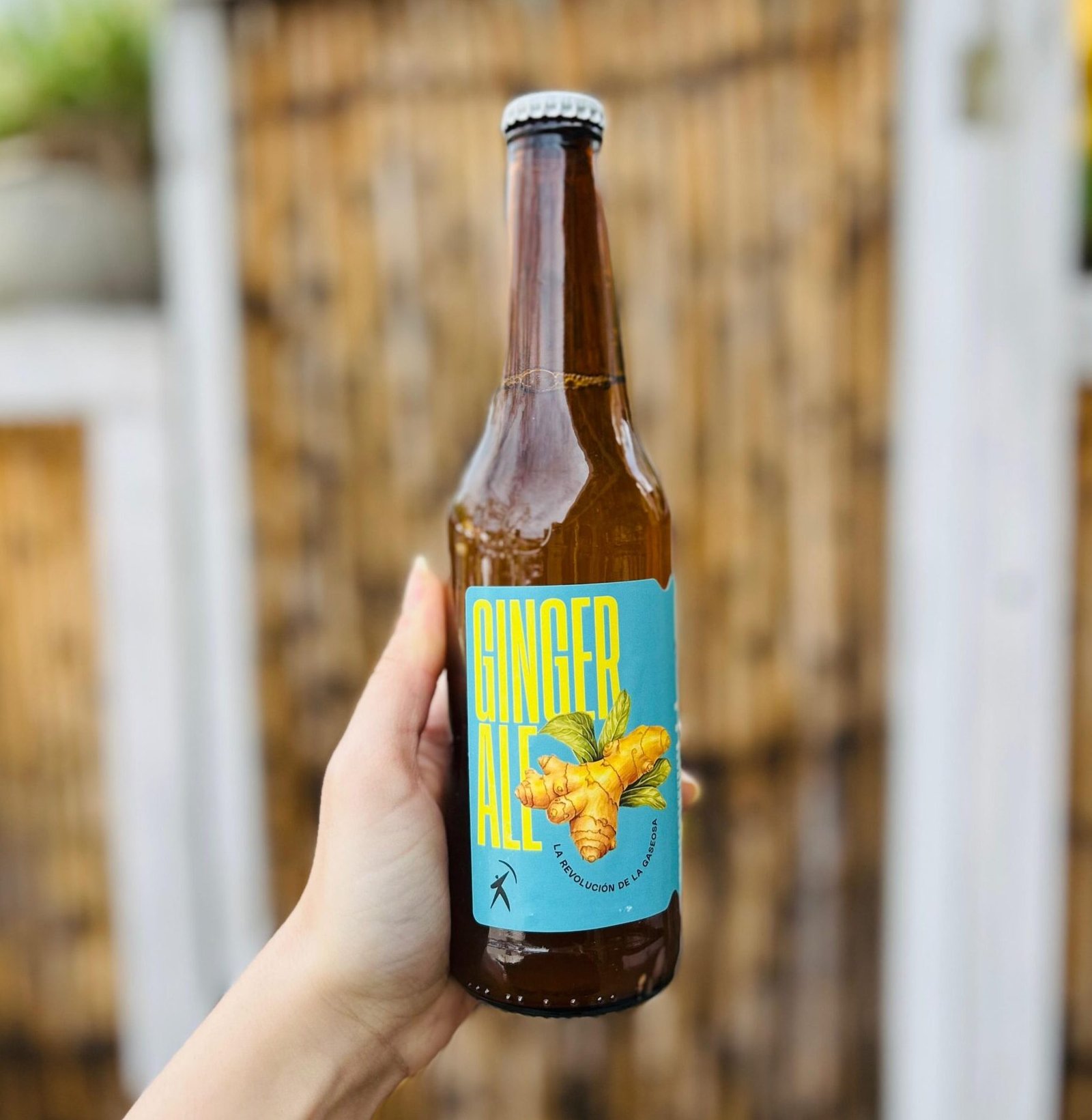 KOMBUCHA BOW X 355 ML BOTELLA DE VIDRIO GINGER ALE