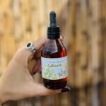 TINTURA MADRE DE CURCUMA NATURALEZA VIVA 60CC