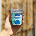 YOGUR DESCREMADO ARANDANO TREGAR
