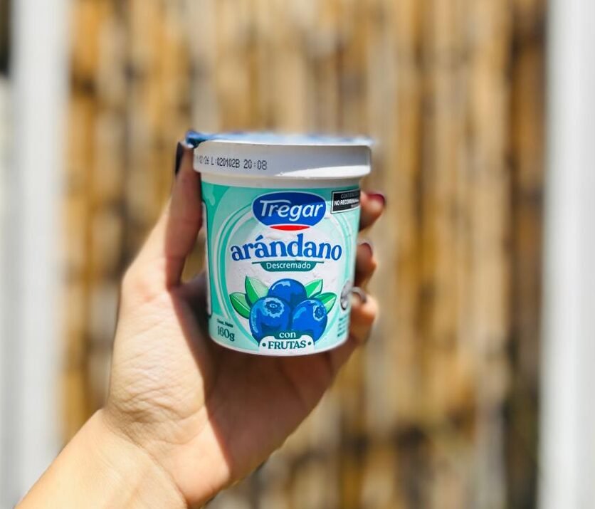 YOGUR DESCREMADO ARANDANO TREGAR