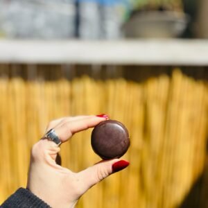 ALFAJOR DE CHOCOLATE CHIPACERATTI X UNID