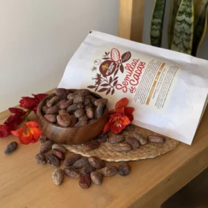 SEMILLA DE CACAO ORGANICA